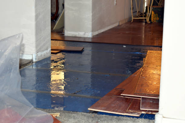 Professional Burst Pipe Cleanup technician working in Sharon, MA